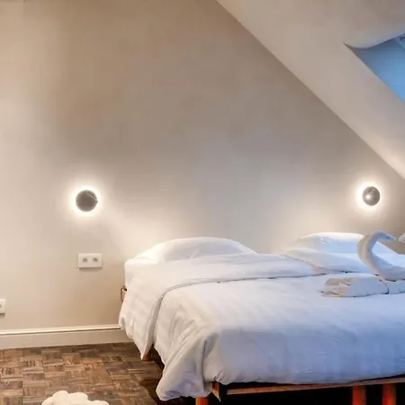 Charming Attic In Ghent